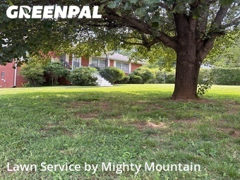 Lawn Mow nearby Maryville, TN, 