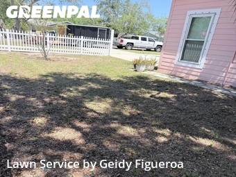 Lawn Mowing Servicein Palm Harbor,34683,Lawn Maintenance by Geidy Figueroa, work completed in Jun , 2026