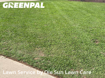 Lawn Maintenance nearby Rogers, AR, 