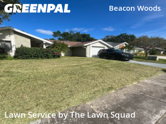 Yard Mowing nearby Hudson, FL, 