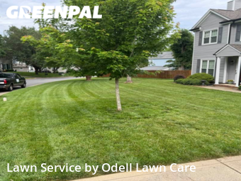 Lawn Maintenance nearby Kannapolis, NC, 