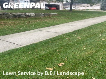 Grass Cut nearby Kalamazoo, MI, 