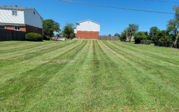Work Image 4
