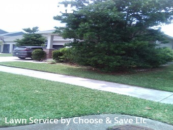 Lawn Cutting nearby Winter Garden, FL, 