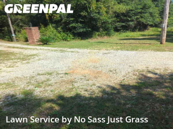Yard Cutting in Prichard, 36613, Backyard Mowing by No Sass Just Grass, work completed in Oct , 2025