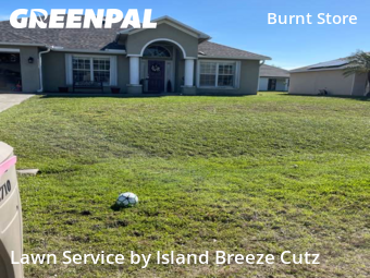Lawn Care Service nearby Cape Coral, FL, 