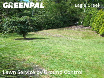 Lawn Mowing nearby Indianapolis, IN, 