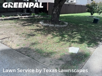 Lawn Mow nearby Mc Kinney, TX, 