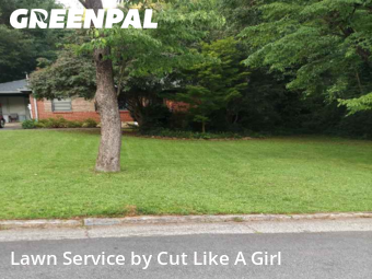 Grass Cut nearby Decatur, GA, 