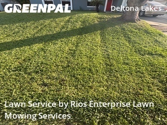 Lawn Cut nearby Deltona, FL, 