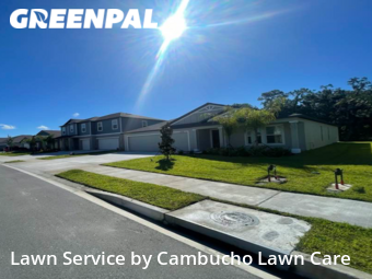 Lawn Cut nearby Parrish, FL, 