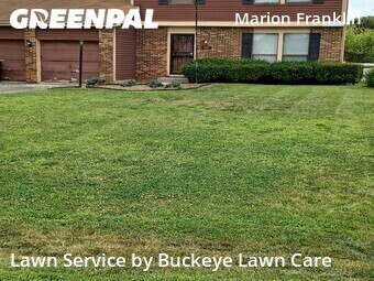 Lawn mowed in Pickerington, 43147