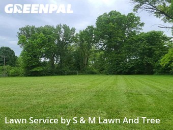 Grass Services in Whitehall, 43213, Yard Mowing by S & M Lawn And Tree, work completed in Nov , 2025