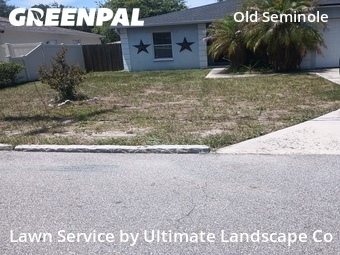 Lawn Mowing nearby Tampa, FL, 