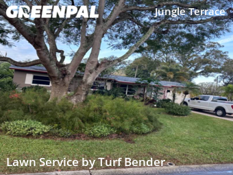 Lawn Mowing nearby St Petersburg , FL, 