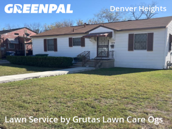 Lawn Cut nearby San Antonio, TX, 