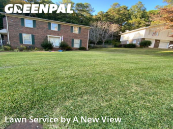 Yard Cutting nearby Anniston, AL, 