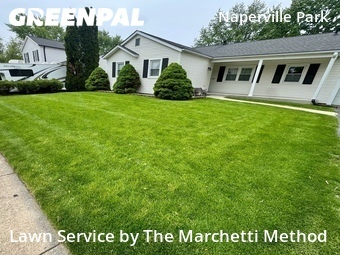 Lawn Cut nearby Naperville, IL, 