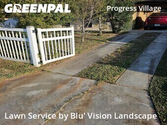 Grass Cut nearby Tampa, FL, 