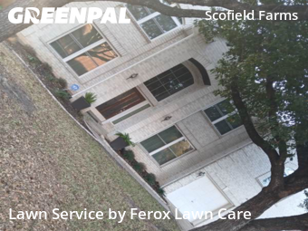 Yard Cutting nearby Austin, TX, 