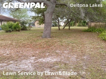 Grass Cutting nearby Deltona, FL, 