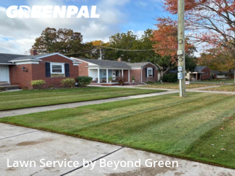 Lawn Upkeep in Dearborn Heights, 48127, Weed Trimming by Beyond Green, work completed in Nov , 2025