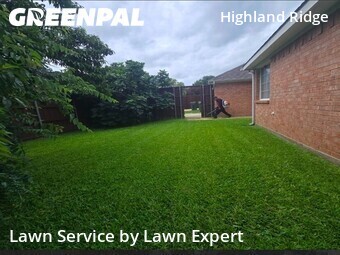 Lawn Mow nearby Plano, TX, 