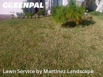 Grass Cuttingin Clermont,34714,Lawn Cutting by Martinez Landscape, work completed in Dec , 2025