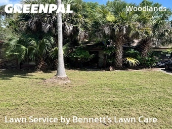 Lawn Mow nearby Palm Coast, FL, 