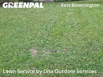 Lawn Maintenance nearby Bloomington, MN, 