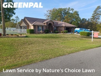 Grass Cut nearby Ocala, FL, 