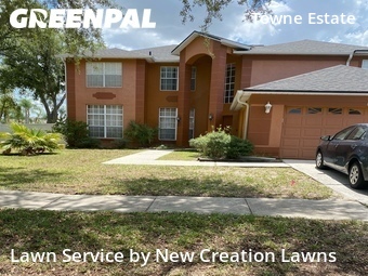 Yard Cutting nearby Brandon, FL, 