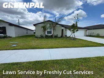 Lawn Cut nearby Bartow, FL, 