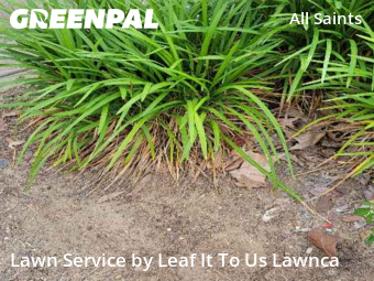 Grass Cutting nearby Tallahassee, FL, 