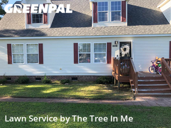 Lawn Mow nearby Maysville, NC, 