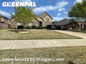 Lawn Care Service nearby Frisco, FL, 