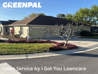 Lawn Mow nearby Tavares, FL, 