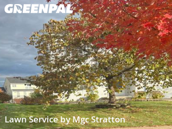 Lawn Mowing in Berea, 44017, Mowing Services by Mgc Stratton, work completed in Dec , 2025