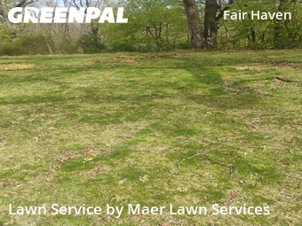 Lawn Cut nearby New Haven, CT, 
