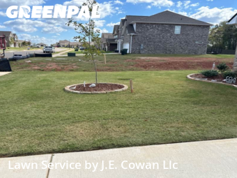 Grass Cutting nearby Harvest, AL, 