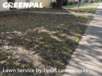 Lawn Mowing Servicein The Colony,75056,Lawn Care Service by Texas Lawnscapes, work completed in Jan , 2026