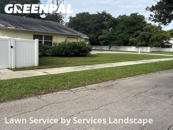 Lawn Mow nearby Saint Cloud, FL, 