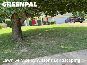 Lawn Care Service nearby Cordova, TN, 