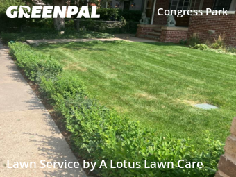 Lawn Cutting nearby Denver, CO, 