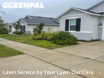Lawn Mowing nearby Davenport, FL, 