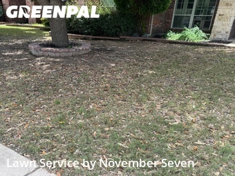 Lawn Mowing Service nearby Cedar Park, TX, 