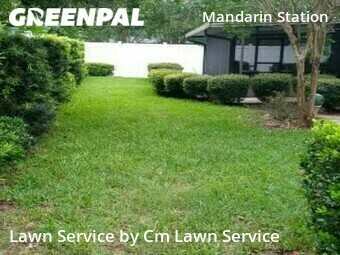 Lawn Mow nearby Jacksonville, FL, 