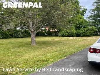 Yard Cutting nearby Wyandanch, NY, 