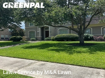 Grass Cut nearby League City, TX, 