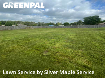 Lawn Cutting nearby Tyler, TX, 